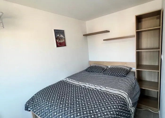 T2 Piscine Les Hameaux De Saint-cyprien Corse Du Sud דירה *